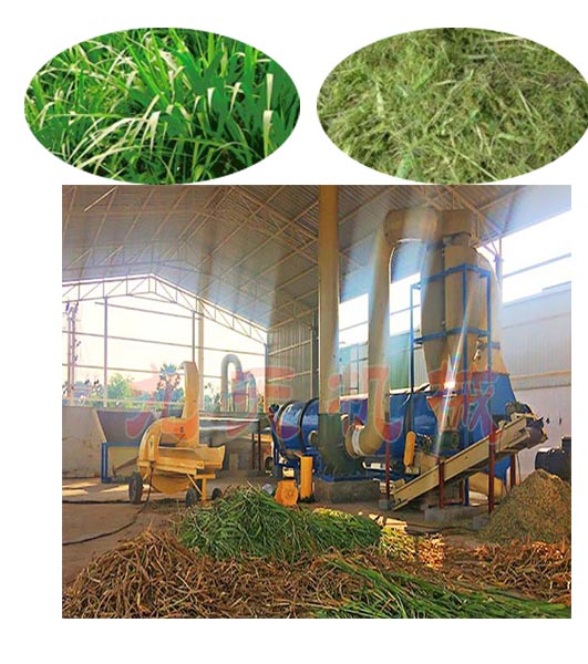 青草烘干機烘干草料原料圖